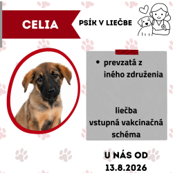 CELIA