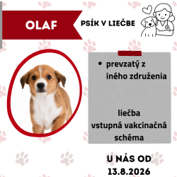 OLAF