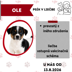 OLE