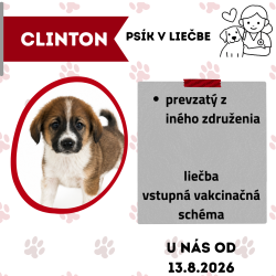 CLINTON