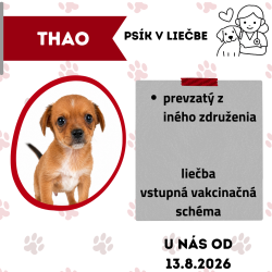 THAO