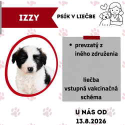 IZZY