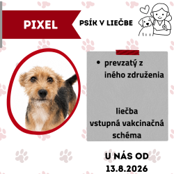 PIXEL