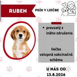 RUBEN