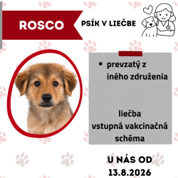 ROSCO