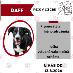 DAFF