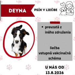 DEYNA