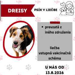 DREISY