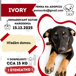 IVORY
