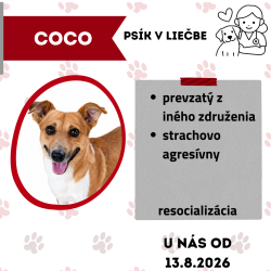 COCO