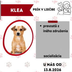 KLEA