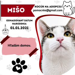 MIŠO