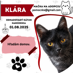 KLÁRA