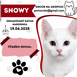 SNOWY
