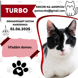 TURBO