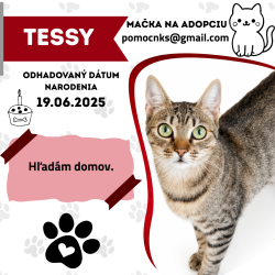 TESSY