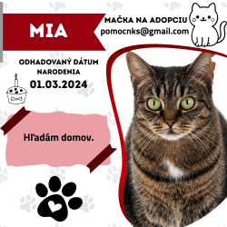 MIA