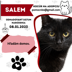 SALEM