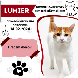 LUMIER