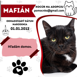 MAFIÁN