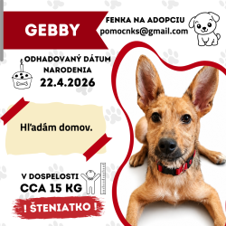 GEBBY
