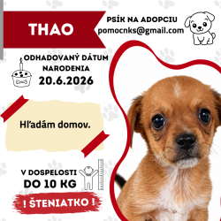 THAO
