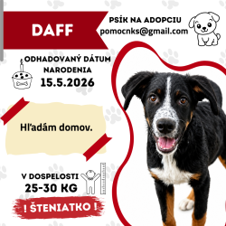 DAFF