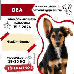 DEA