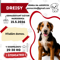 DREISY