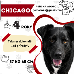 CHICAGO