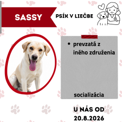 SASSY