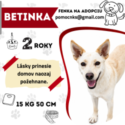 BETINKA
