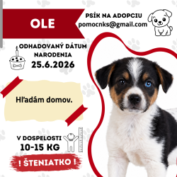 OLE