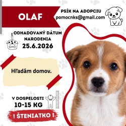 OLAF