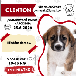 CLINTON