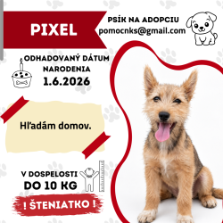 PIXEL