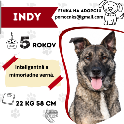 INDY
