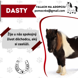 DASTY