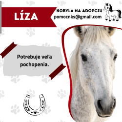 LÍZA