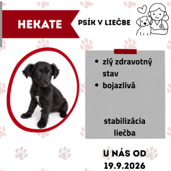 HEKATE