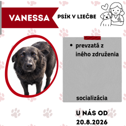 VANESSA