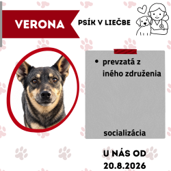 VERONA