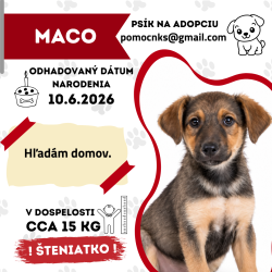MACO