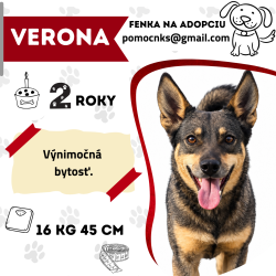 VERONA