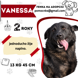 VANESSA