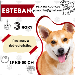 ESTEBAN
