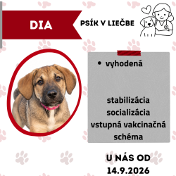 DIA