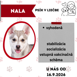 NALA