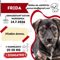 FRIDA