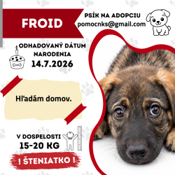 FROID